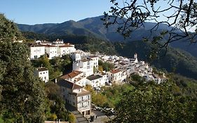 Apartamentos Rurales Jardines Del Visir
