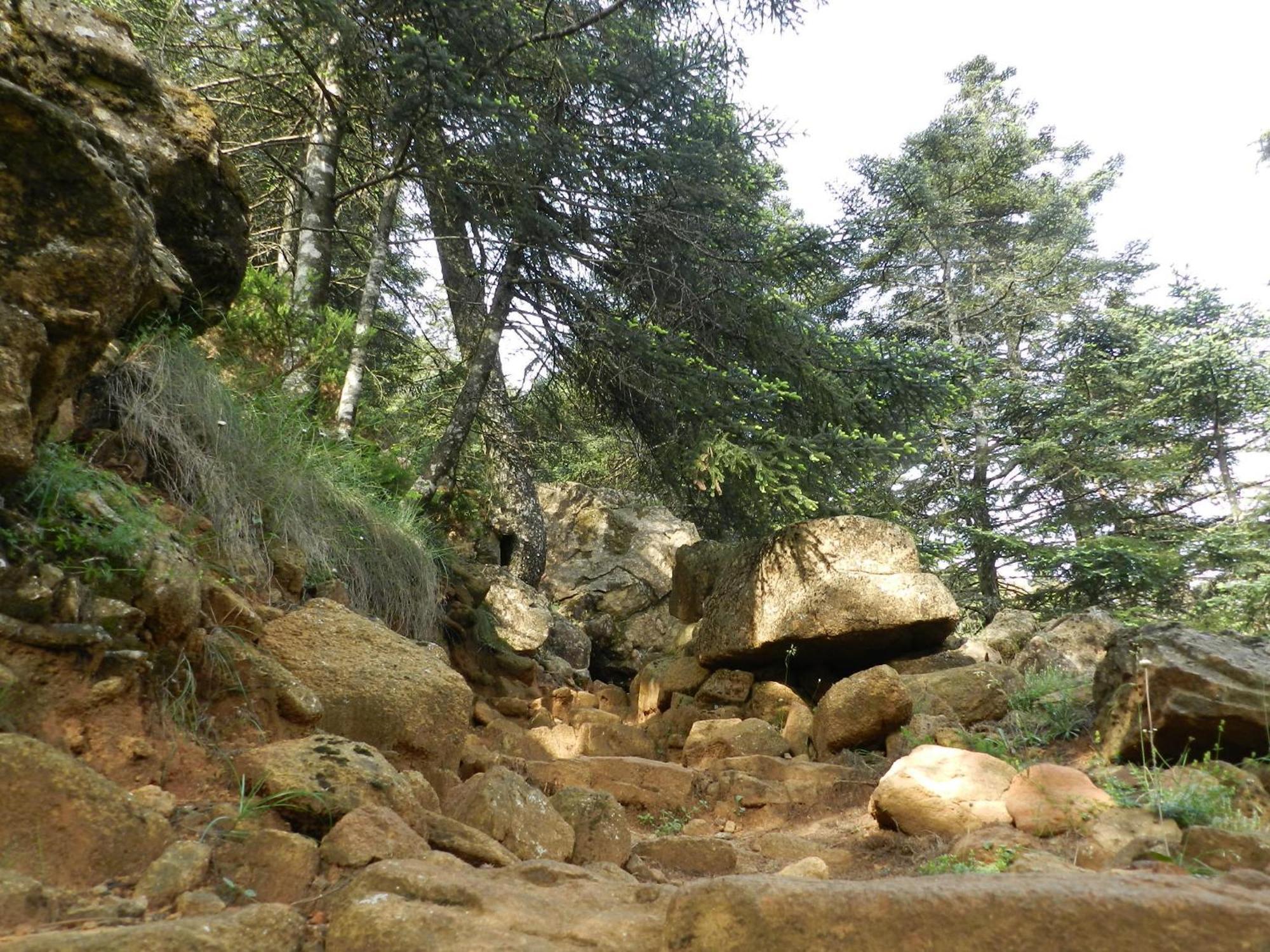 Apartamentos Rurales Jardines Del Visir Genalguacil Zewnętrze zdjęcie