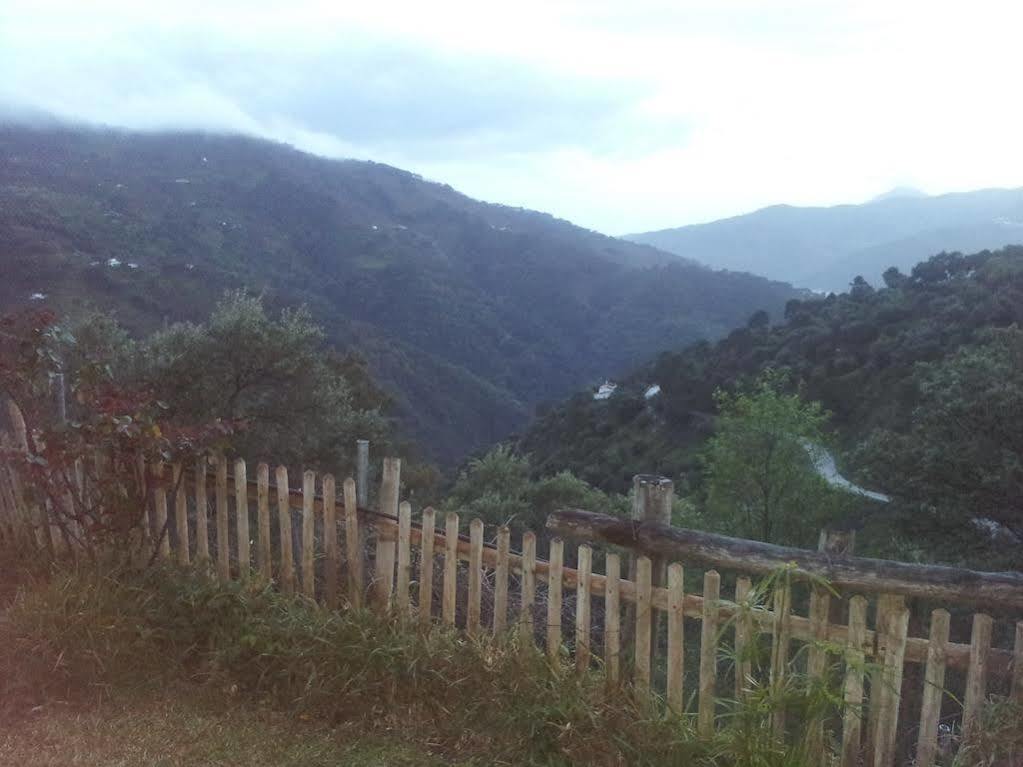 Apartamentos Rurales Jardines Del Visir Genalguacil Zewnętrze zdjęcie